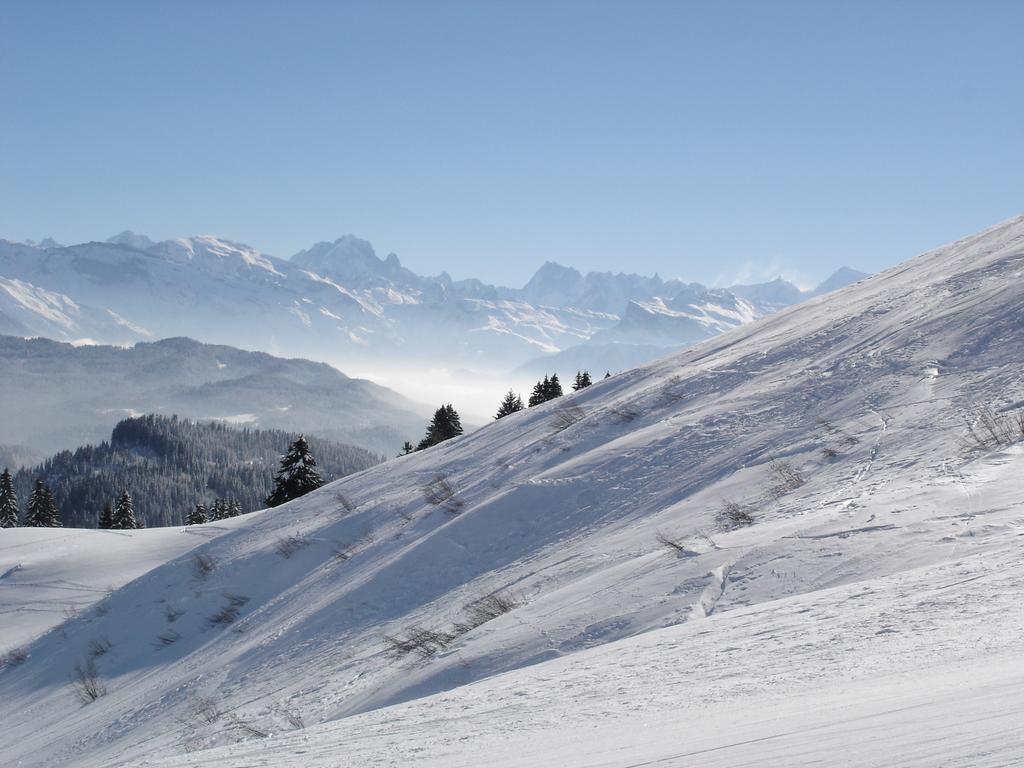 Chalet Hotel Vaccapark Le Praz de Lys Exterior foto