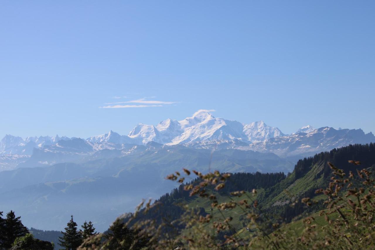 Chalet Hotel Vaccapark Le Praz de Lys Exterior foto