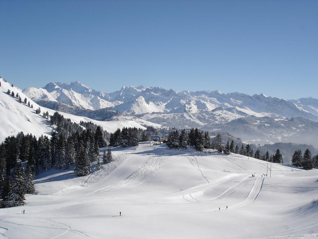 Chalet Hotel Vaccapark Le Praz de Lys Exterior foto